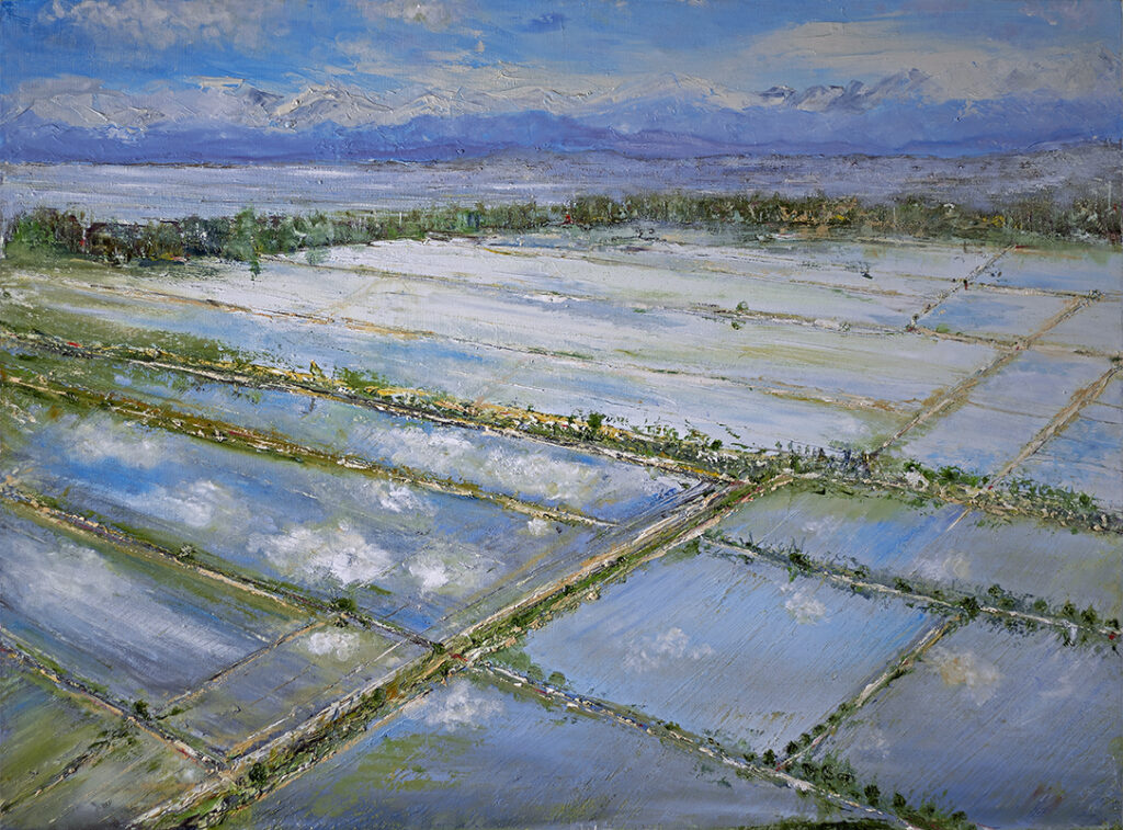 IL MARE A QUADRETTI 2026-22 Olio su tela cm 80 x 60